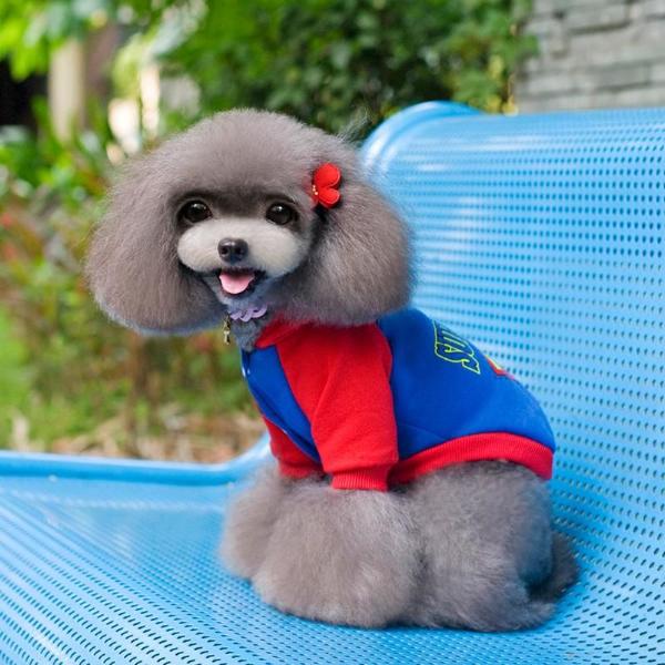 Superman store dog sweater