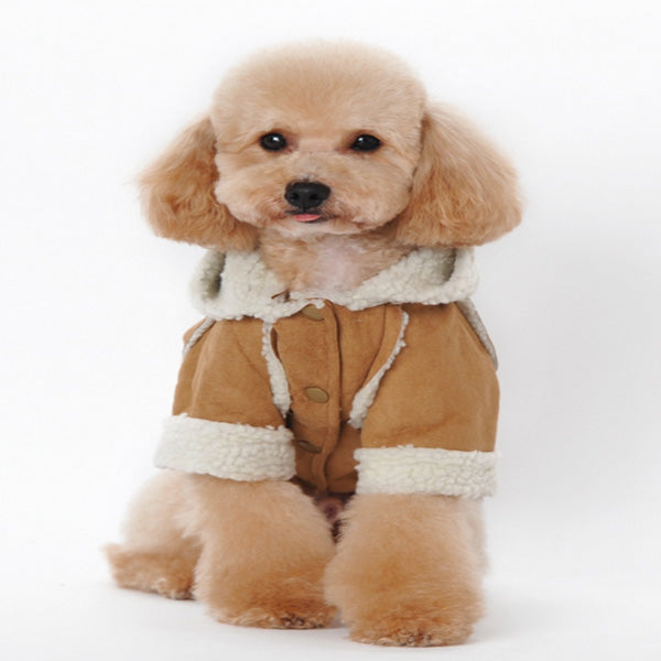 Dog ugg clearance jacket